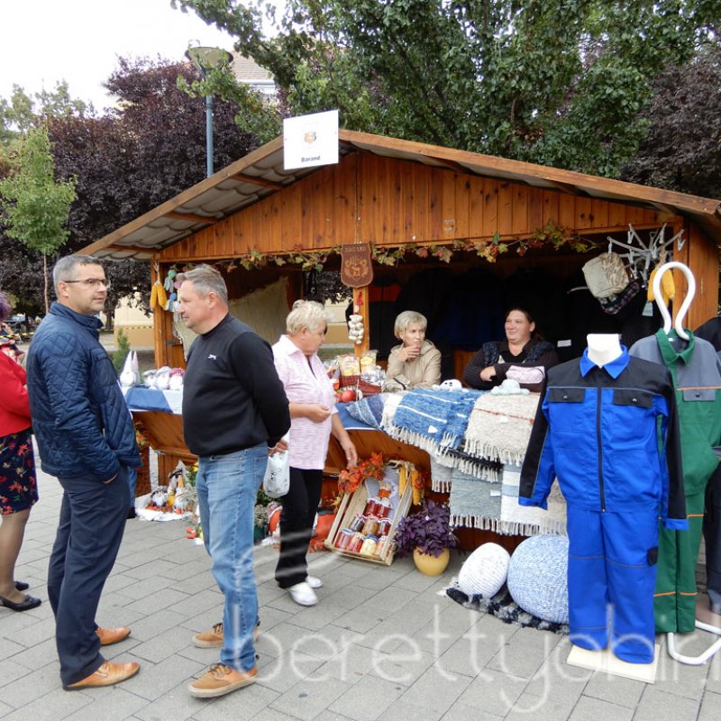 Helyi Értékek Startja 53